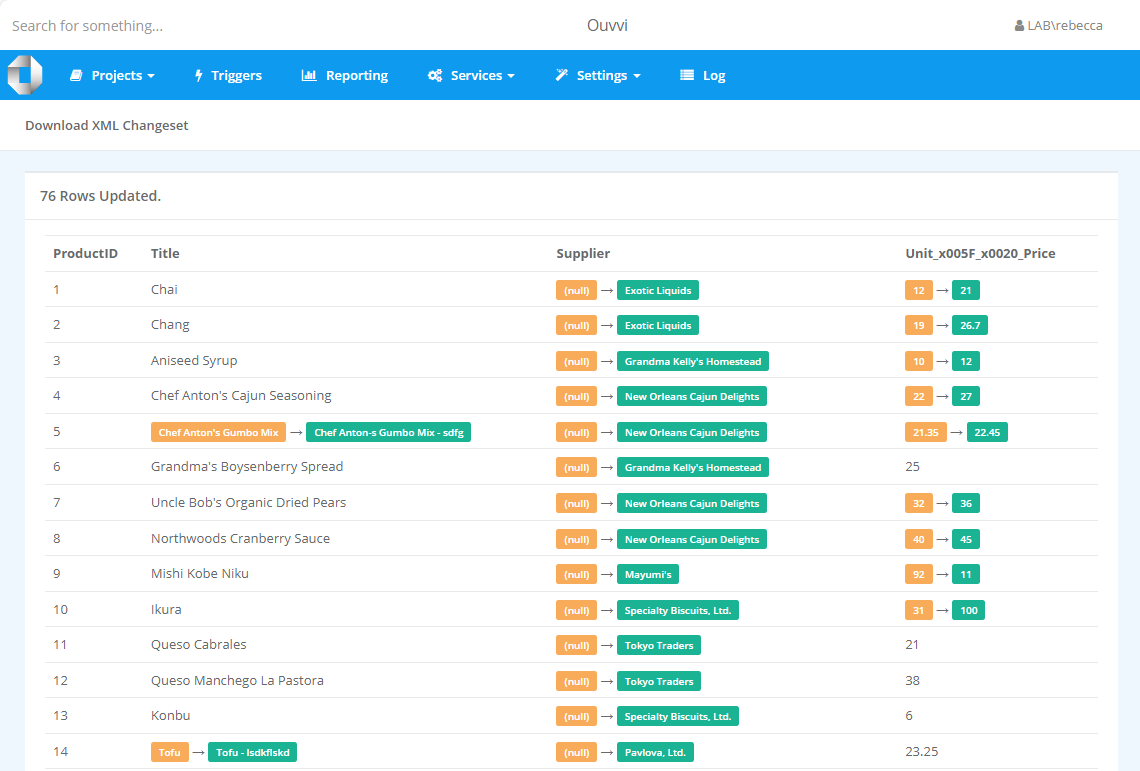 Change Set Data - Updates