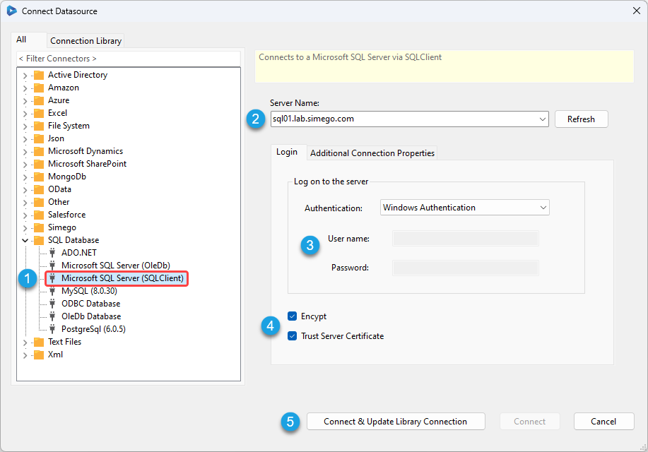 Connect SQL Server