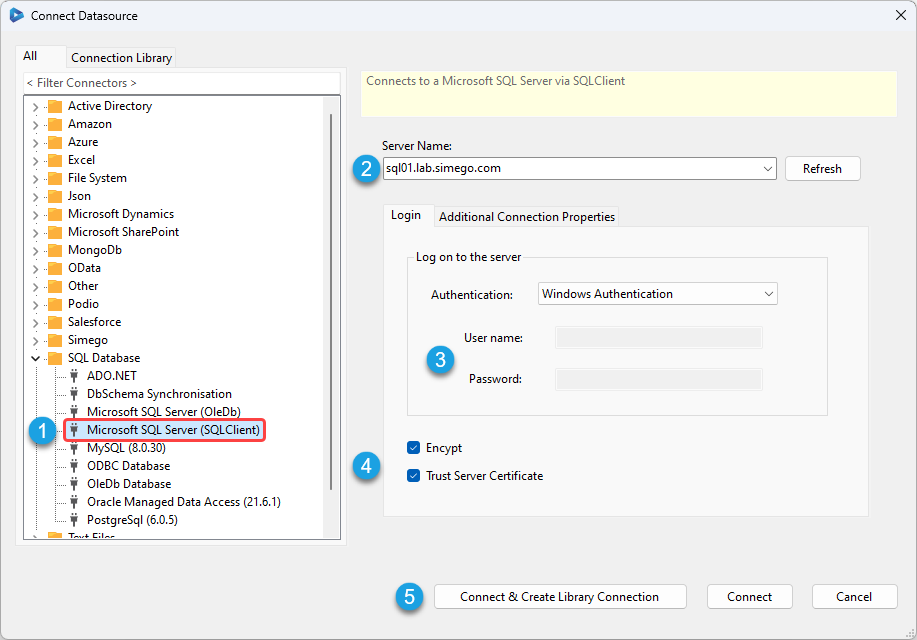 SQL Server Connection