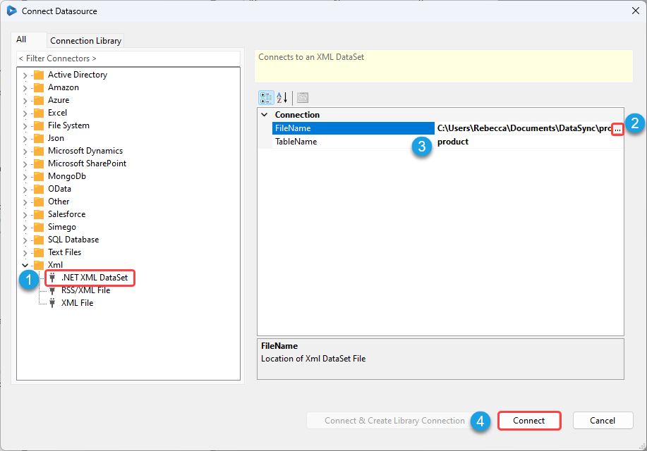 Connect to XML DataSet File